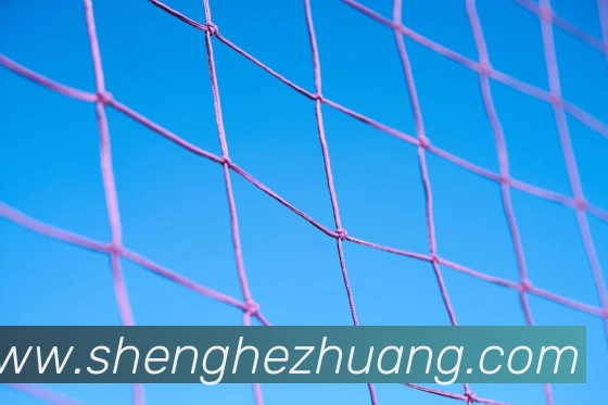 奖项2